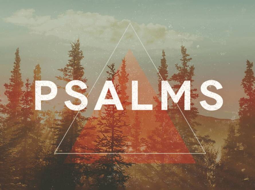 A picture of trees with the word psalms in front.