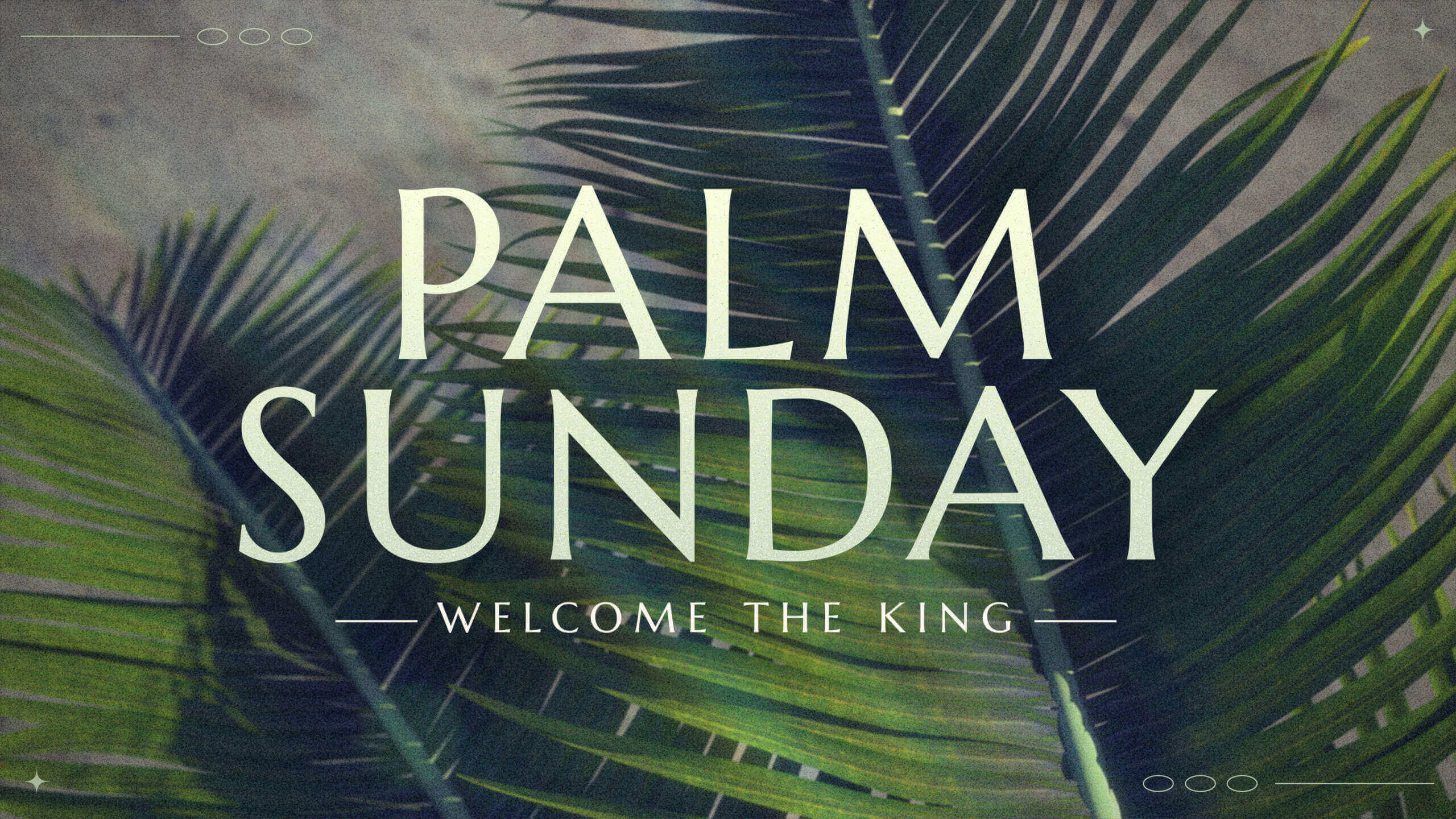 Palm Sunday text with palm leaves background.