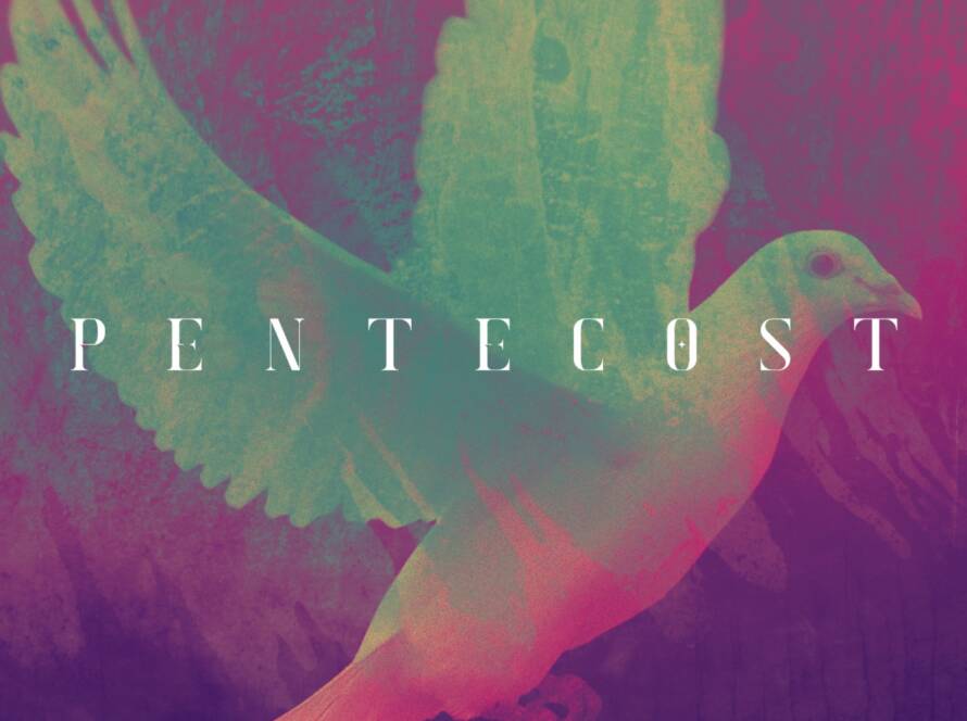 Pentecost dove illustration with vibrant purple gradient